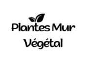 Plantes mur végétal artificiel